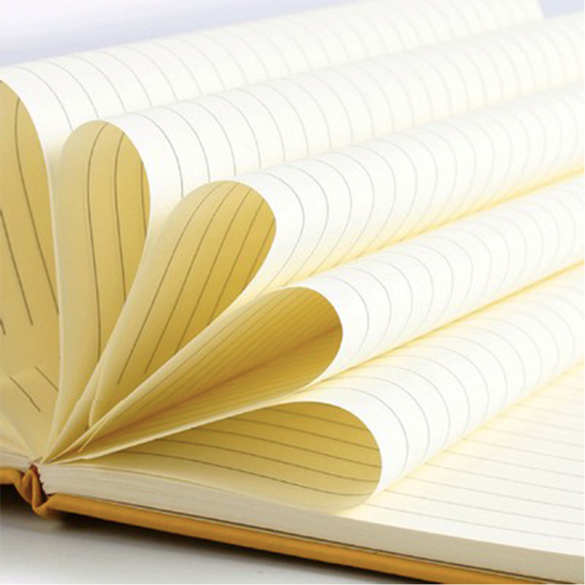 A6/A5 Customed Journal Notebook 2