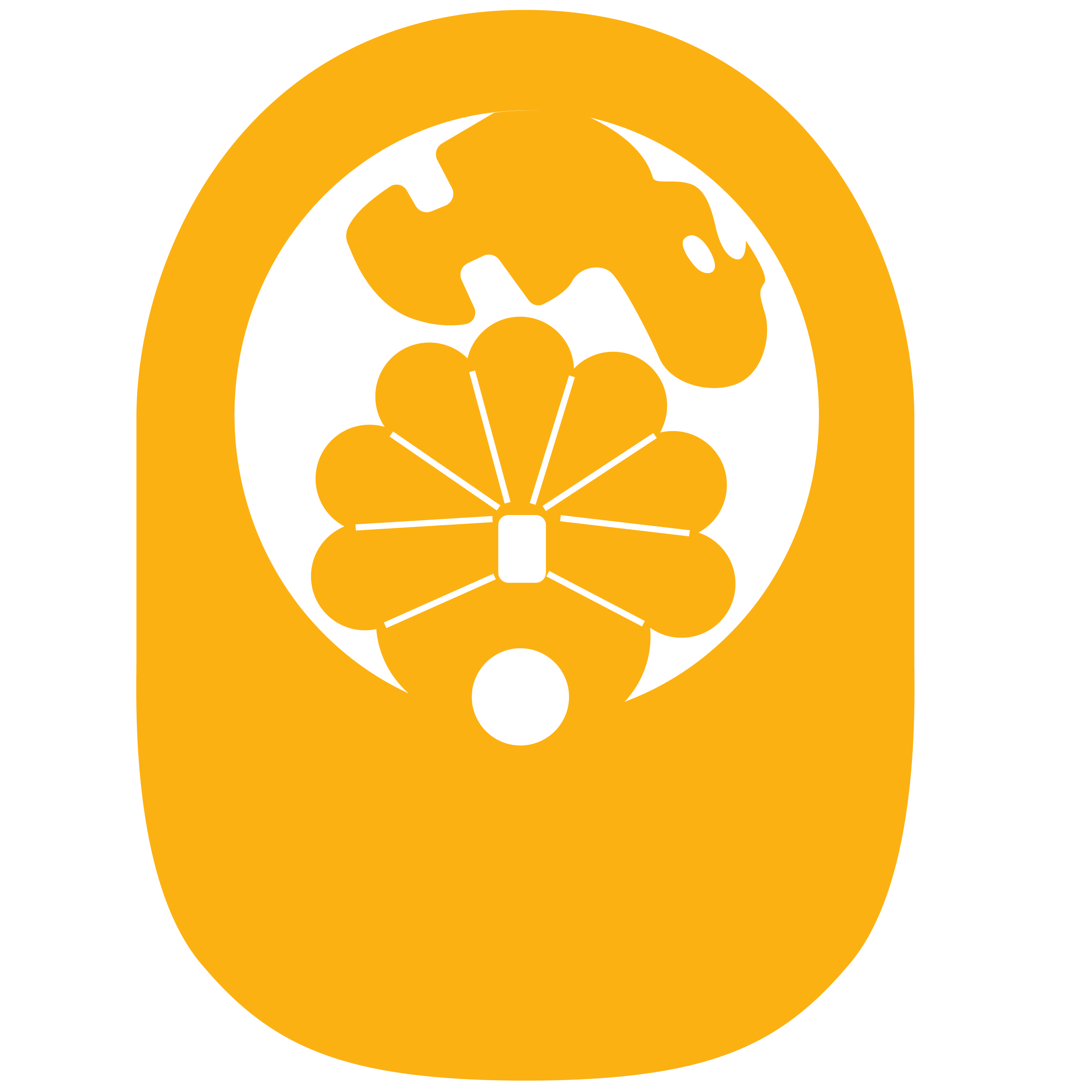 Turkey PopUp Visor 31