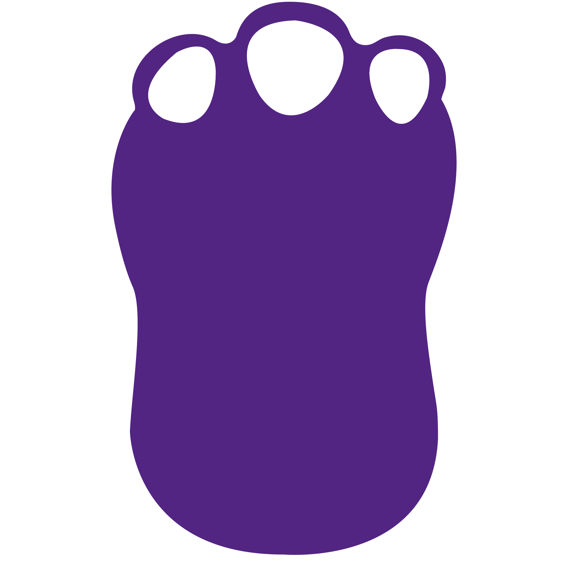 Foam Dinosaur Foot Waver 11
