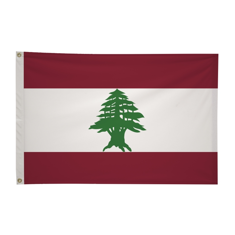 2' x 3'International Flag 145