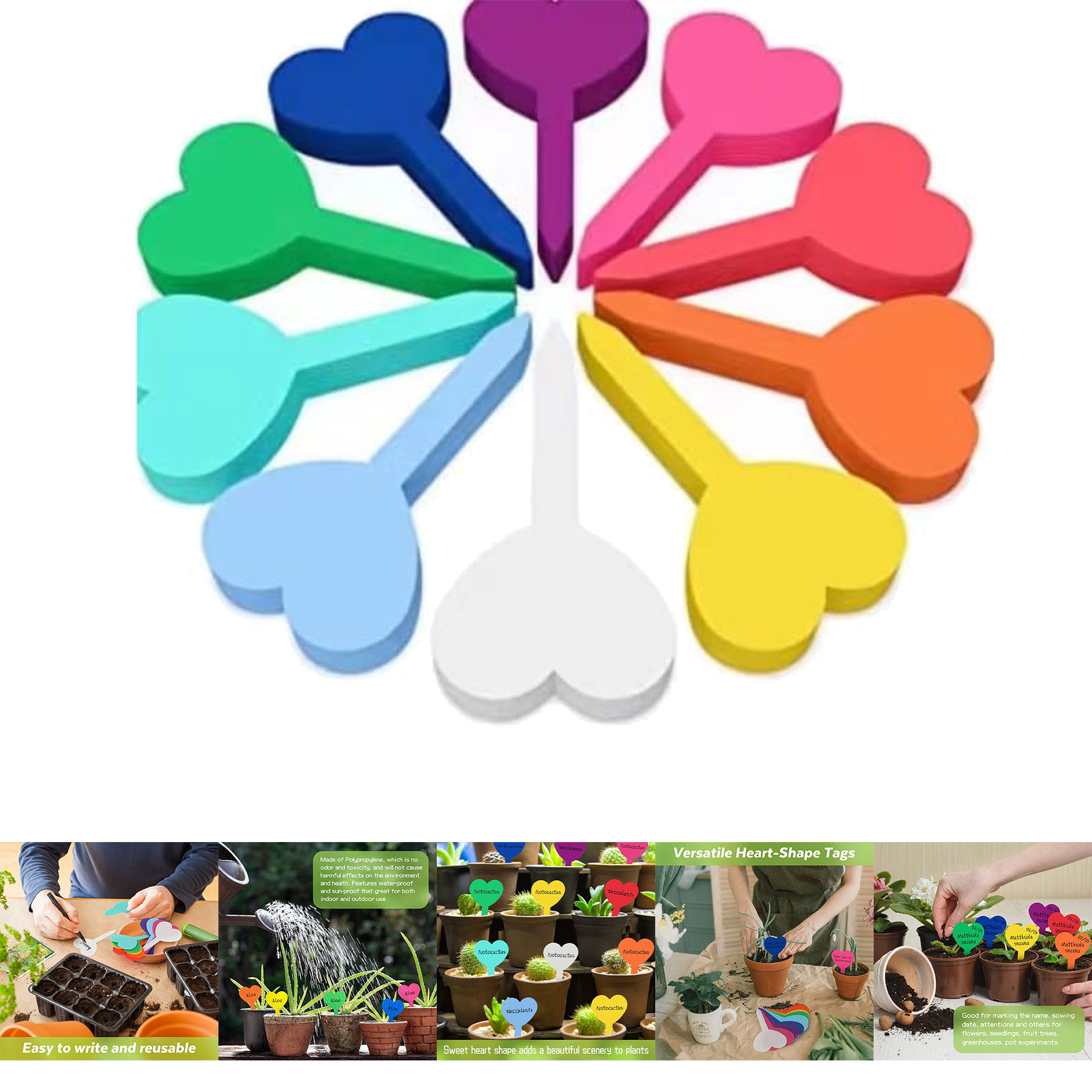 Plastic Plant Labels 2