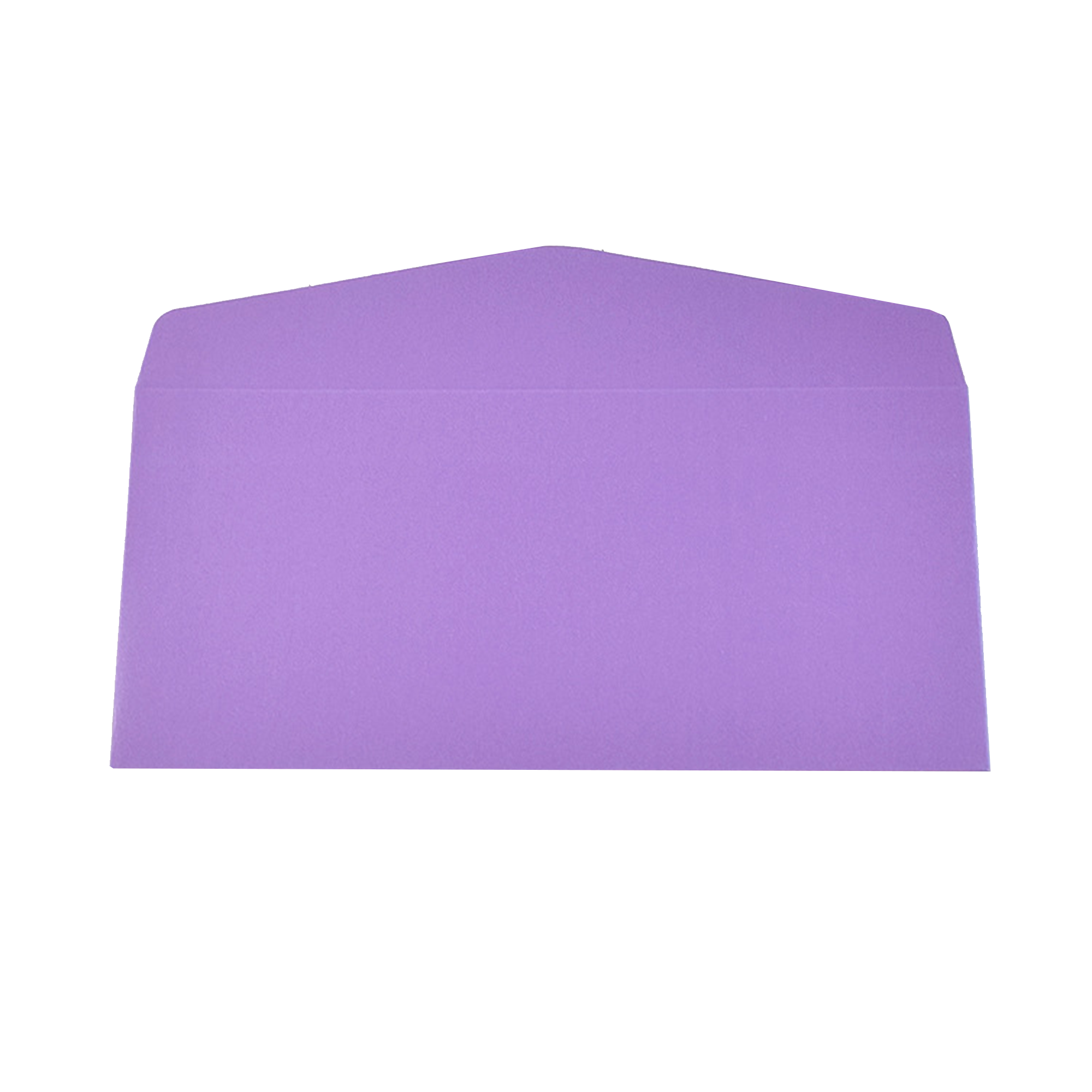 Premium Business Gold-Stamped Envelope 9