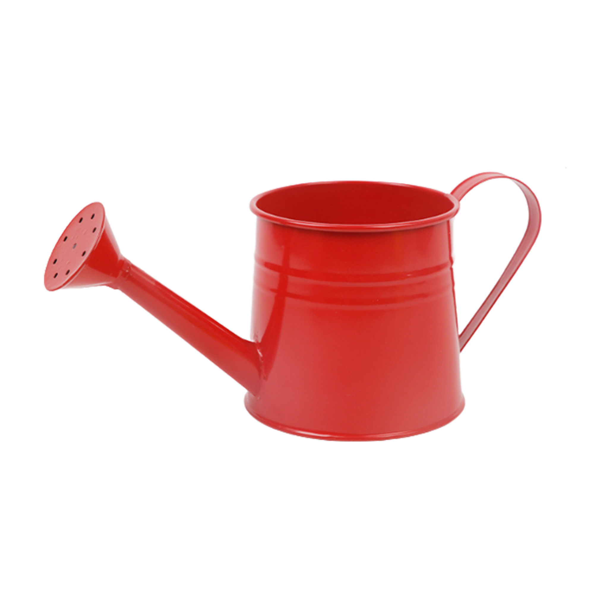 MOQ 50 PCS Sturdy Watering Can Flower Pot Ornament 6