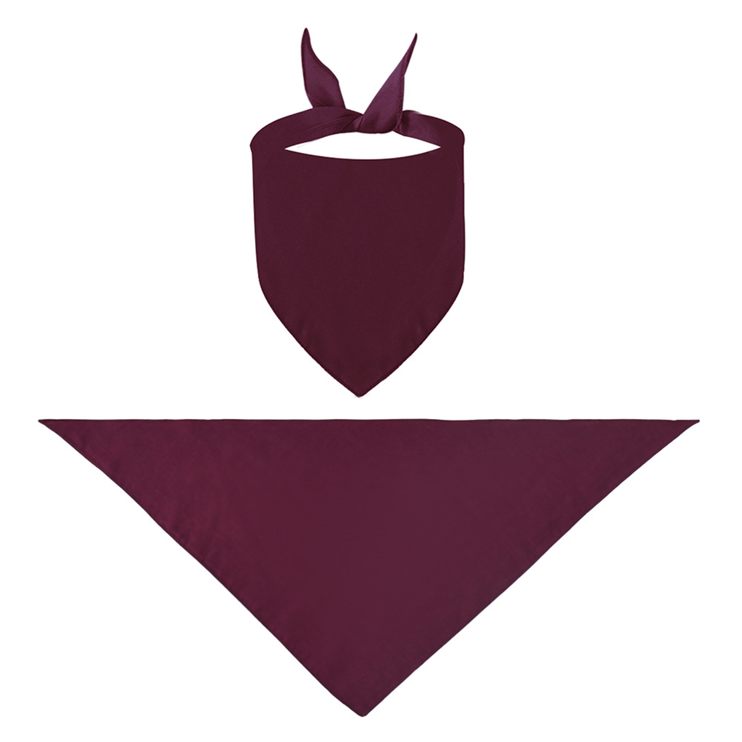 Triangle Pet Bandana With Custom Logo 2