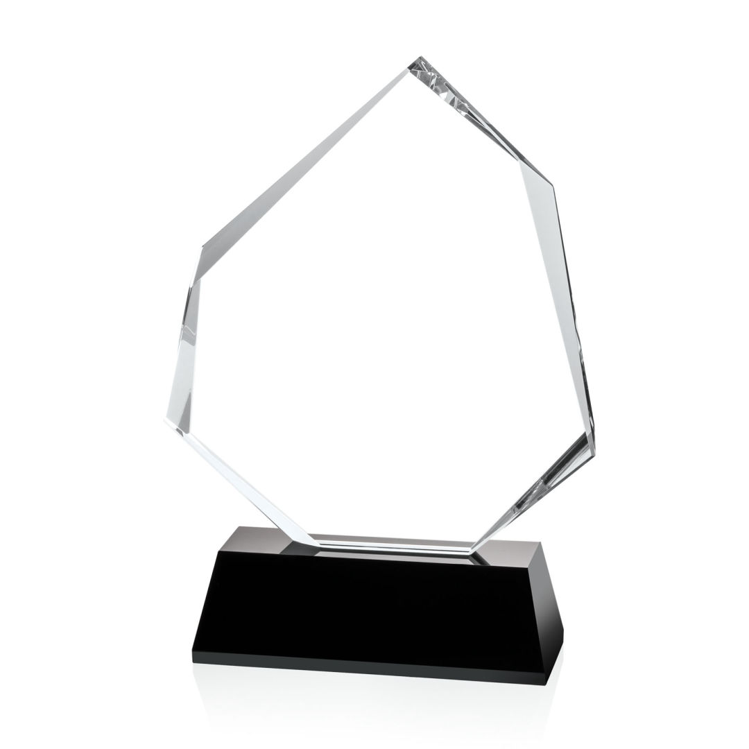 Warner Award - Black 2