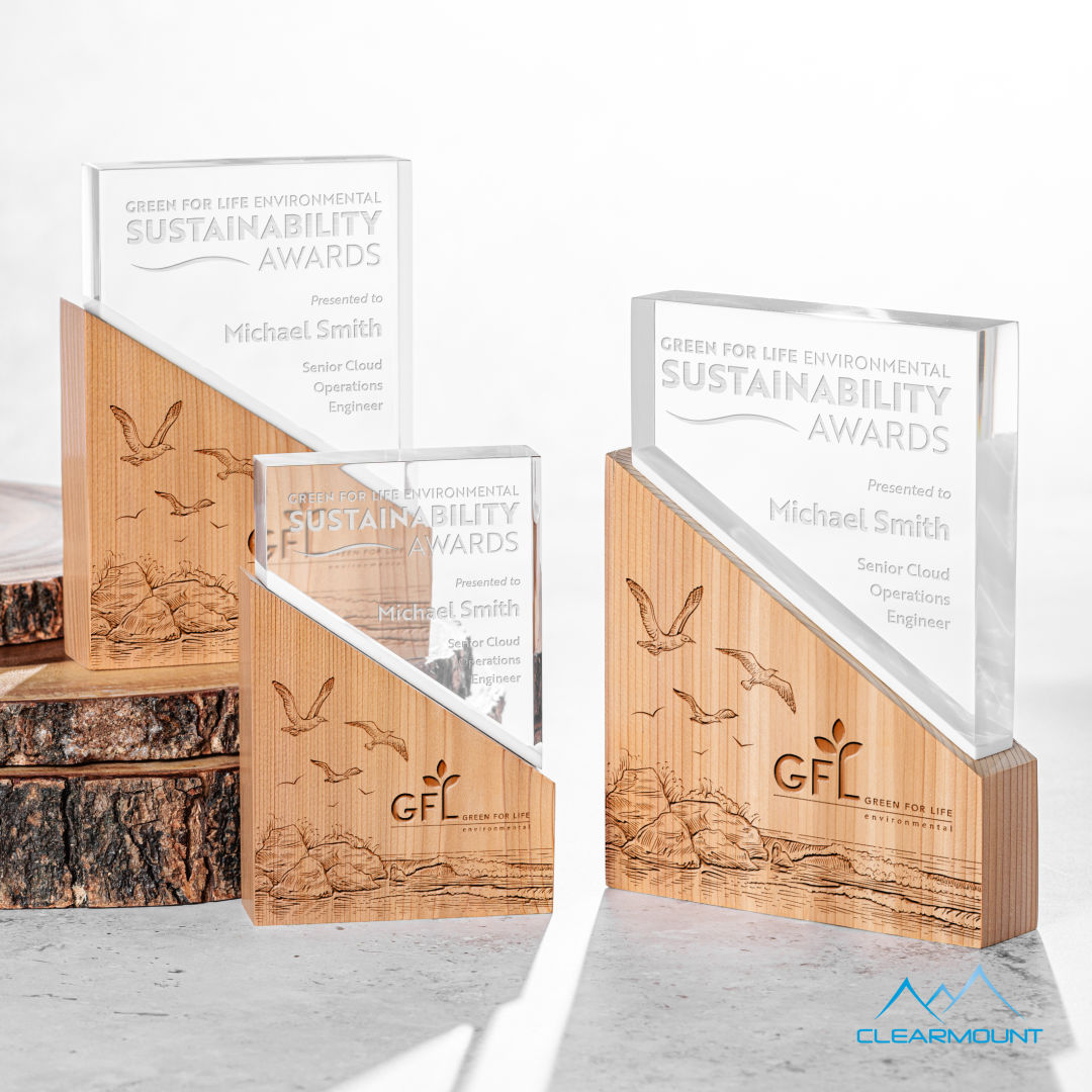 Rocheaux Award 6