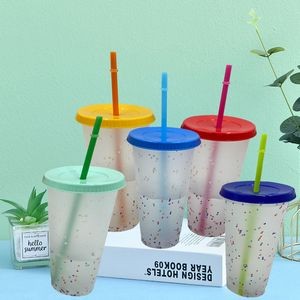 Plastic Tumbler Cup 2