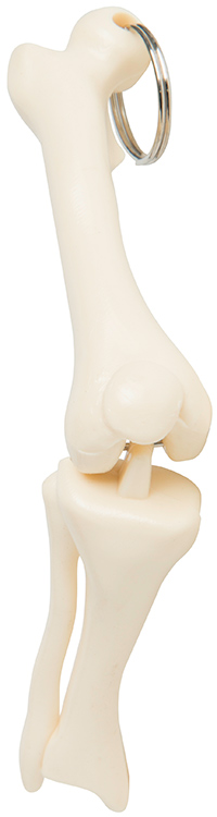 Knee Joint Keyring 2