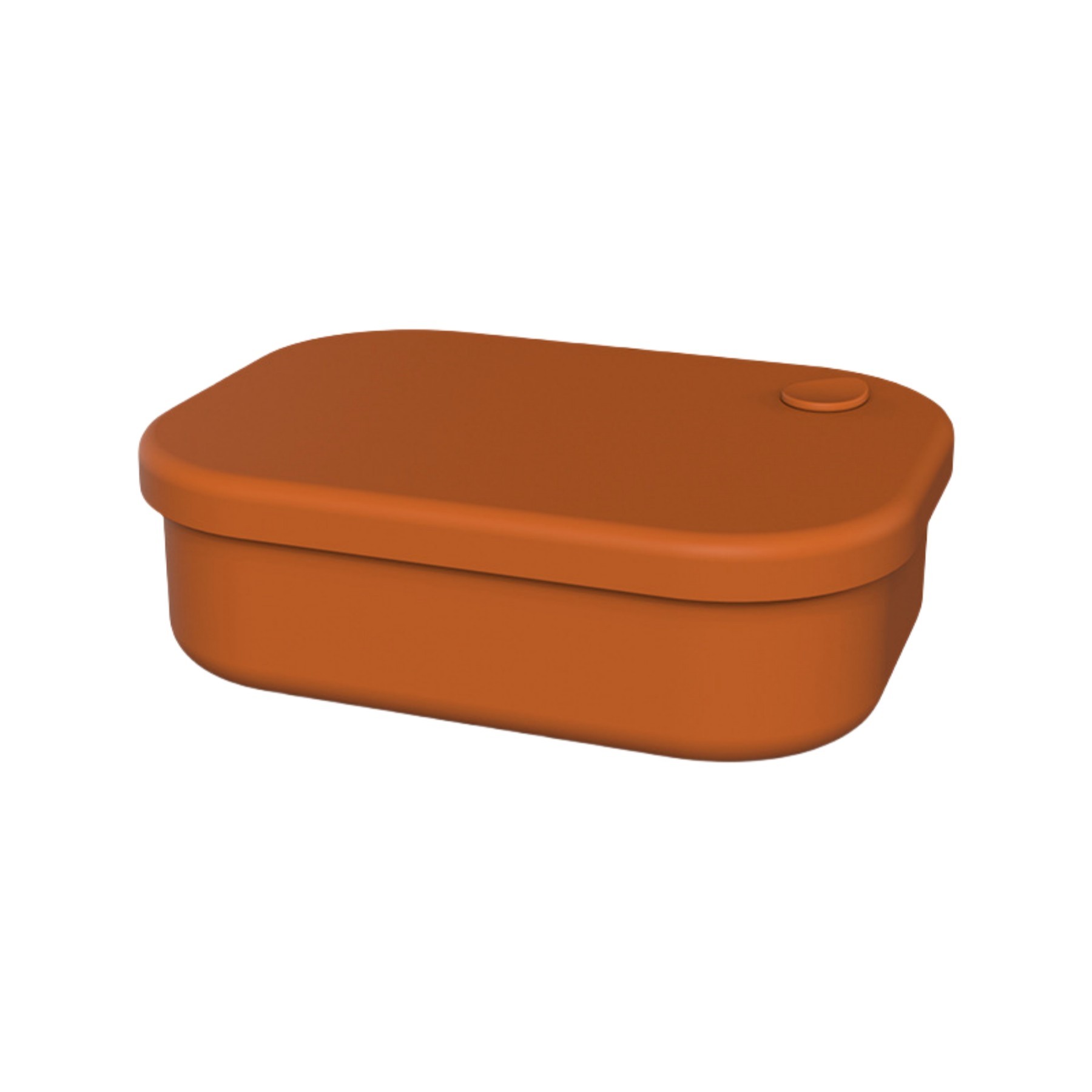 Silicone Lunch Box 1