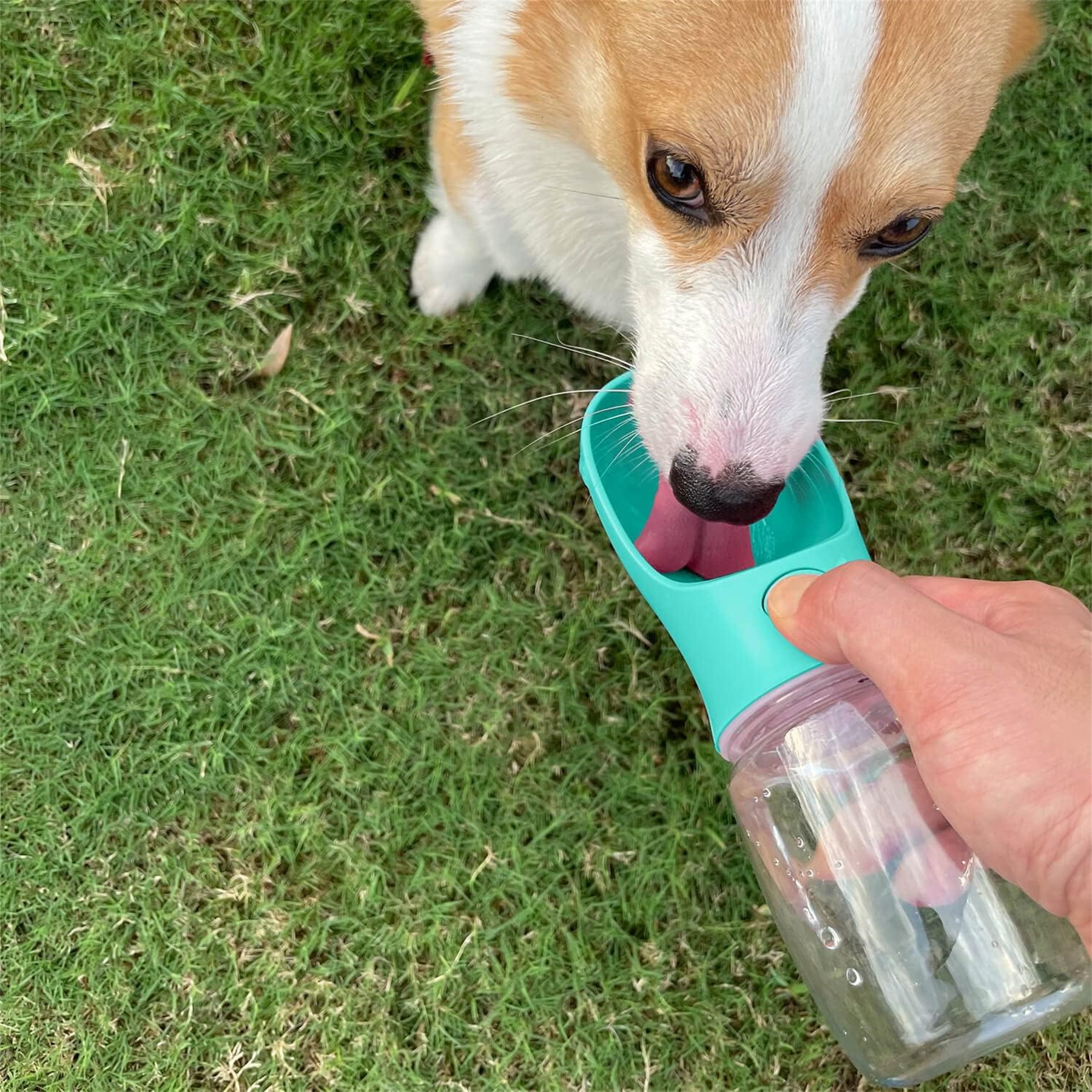 Portable Dog Water Bottle 2