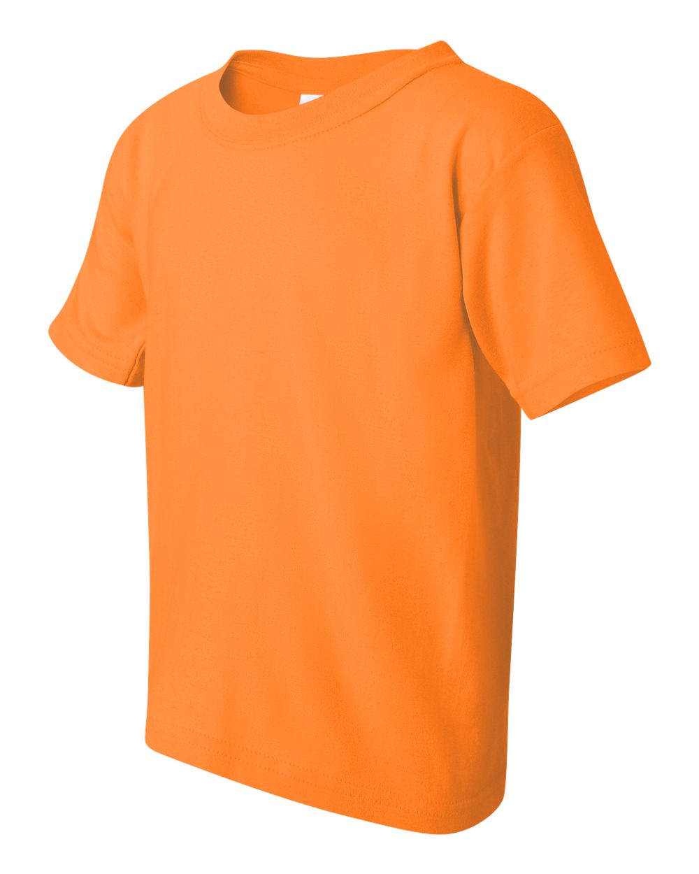 Youth Heavy Cotton™ T-Shirt - 5000B 79