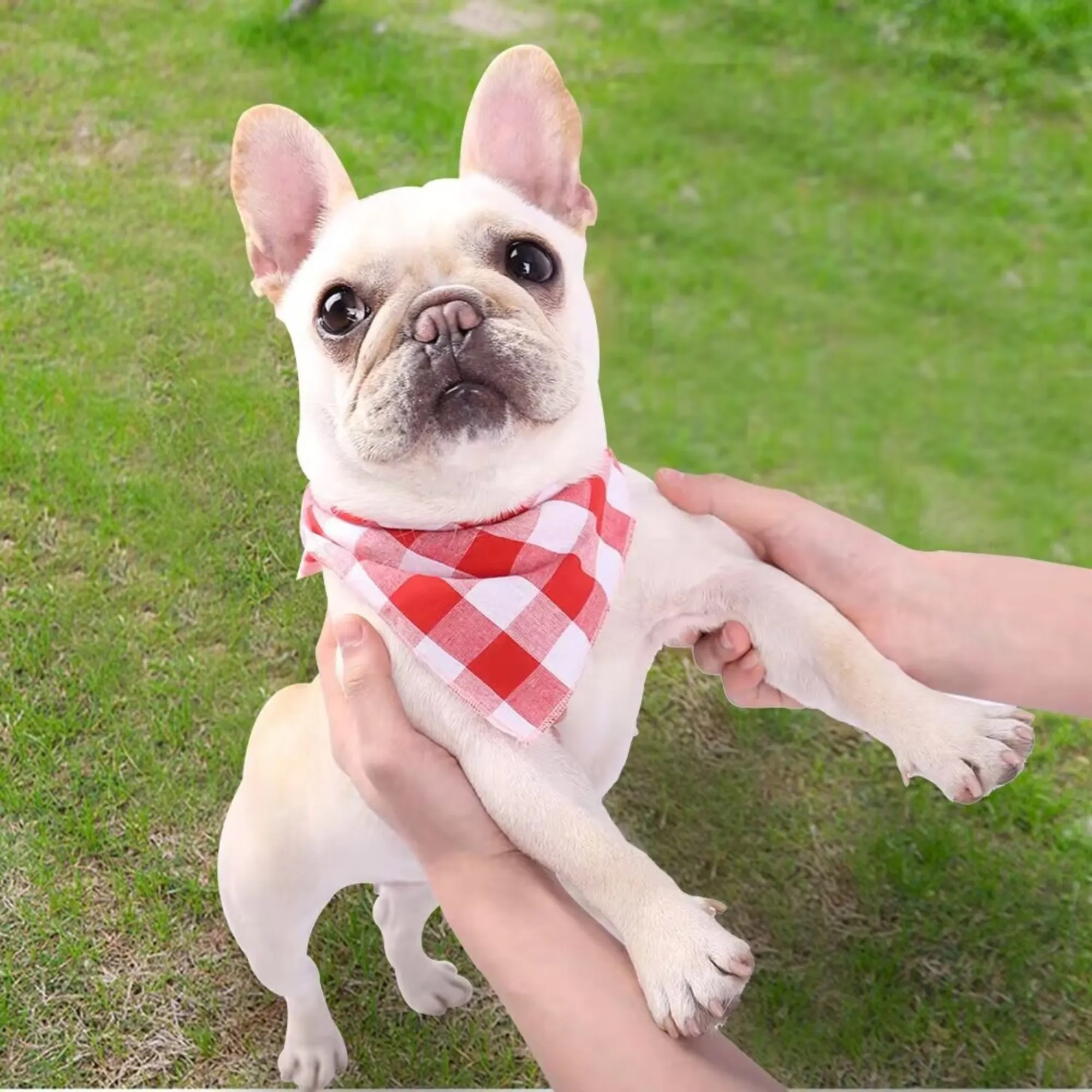 Absorbent Plaid Dog Bandana 11