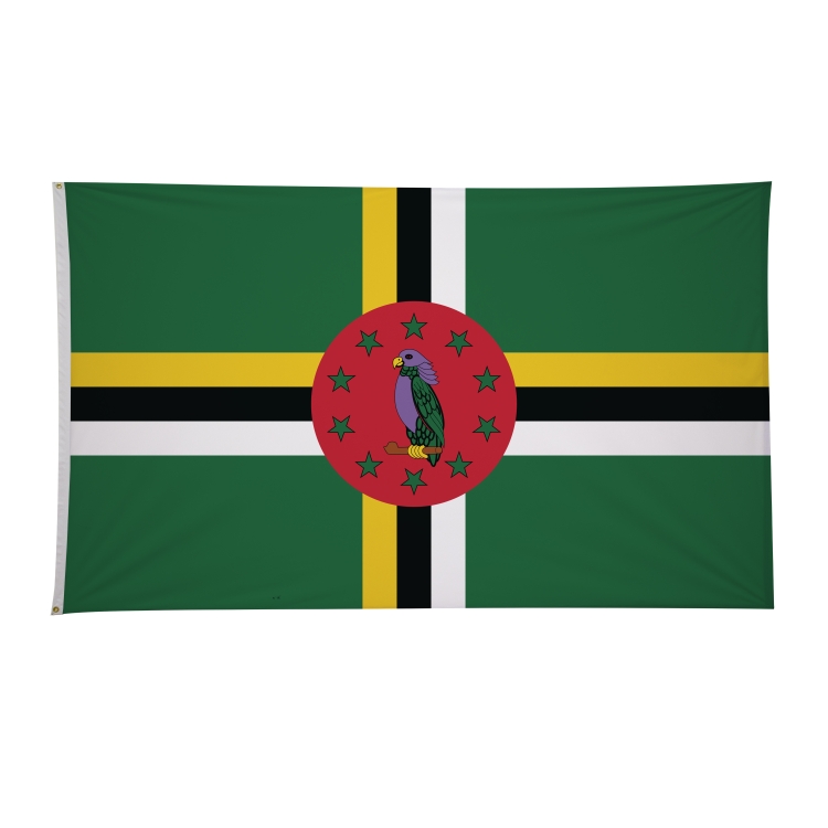 6' x 10' International Flags 49