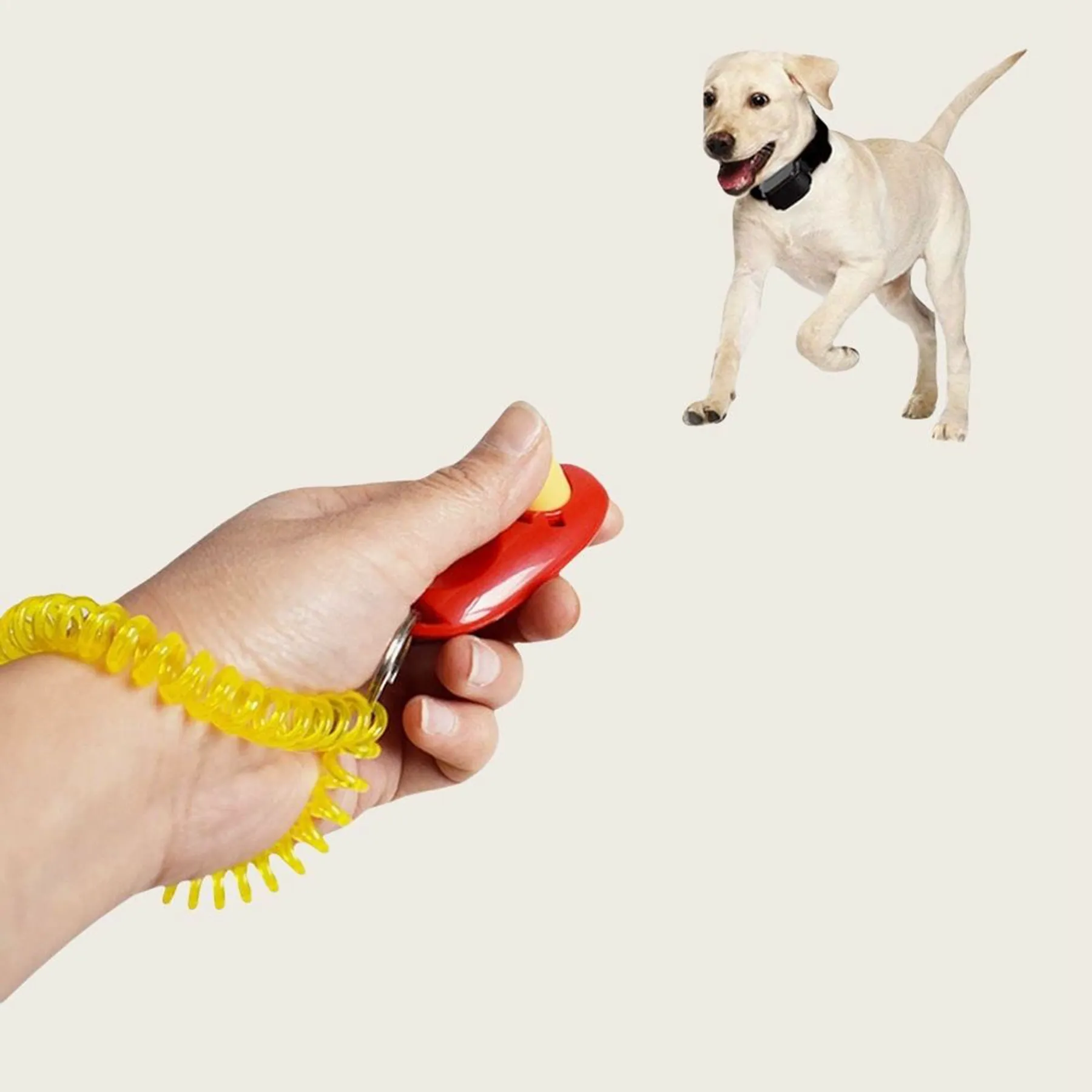 Pet Training Clicker 6