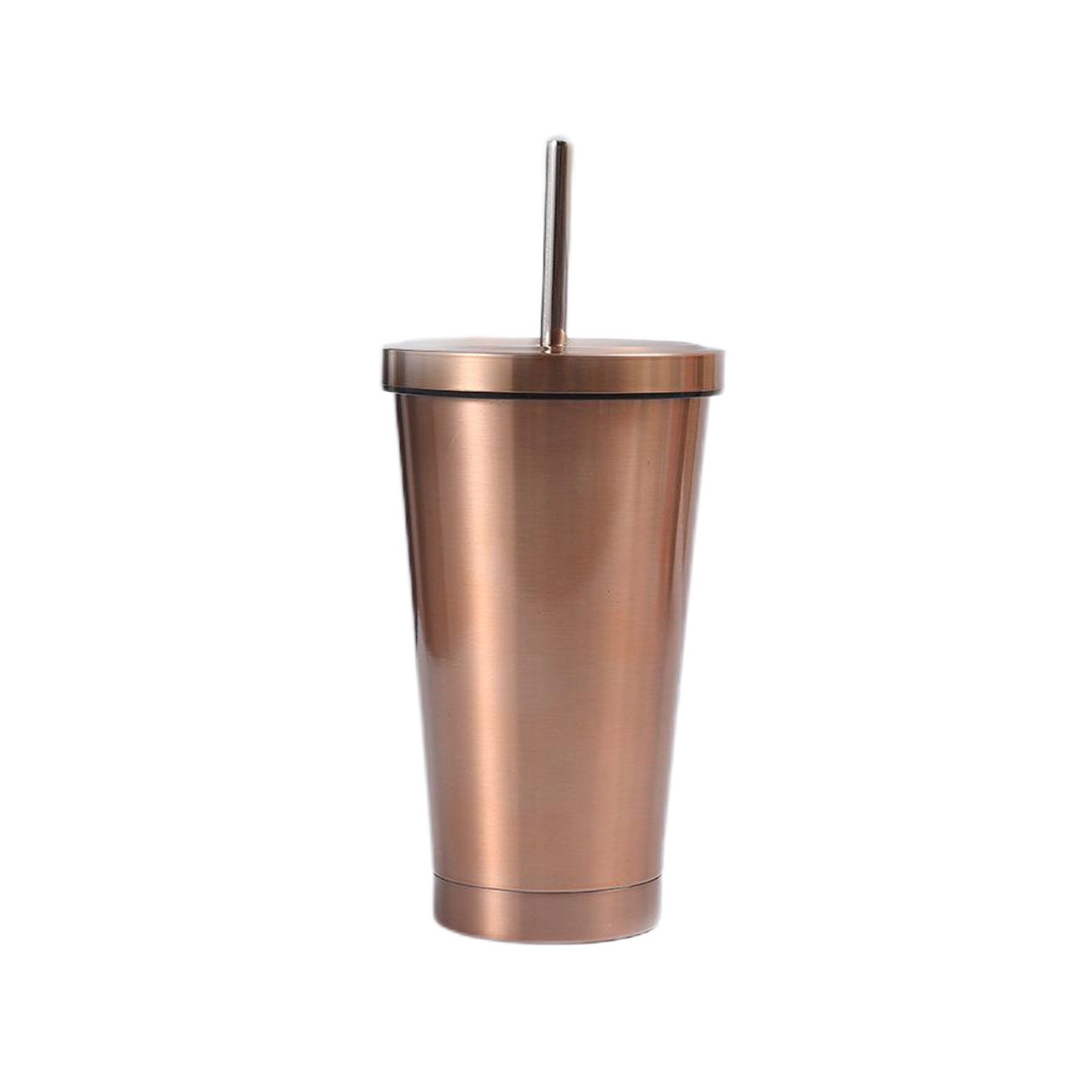 17 oz. Stainless Steel Straw Tumbler (direct import) 4