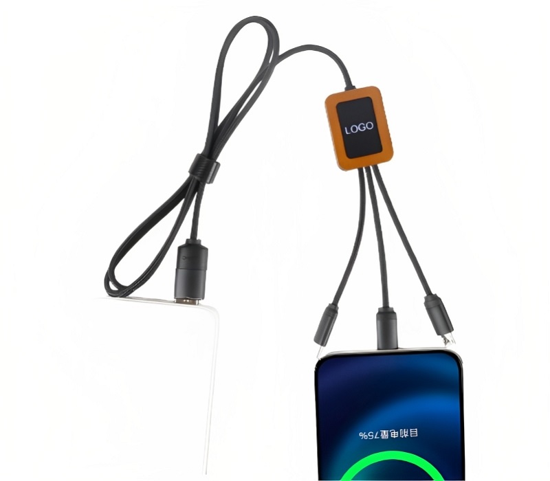 39 inch Eco-friendly LED Multifunction Type-C Charging Cable 6