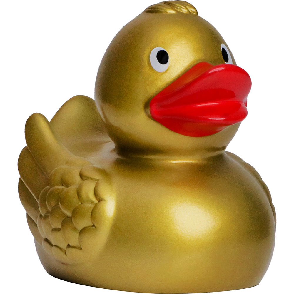Duck With Wings 17