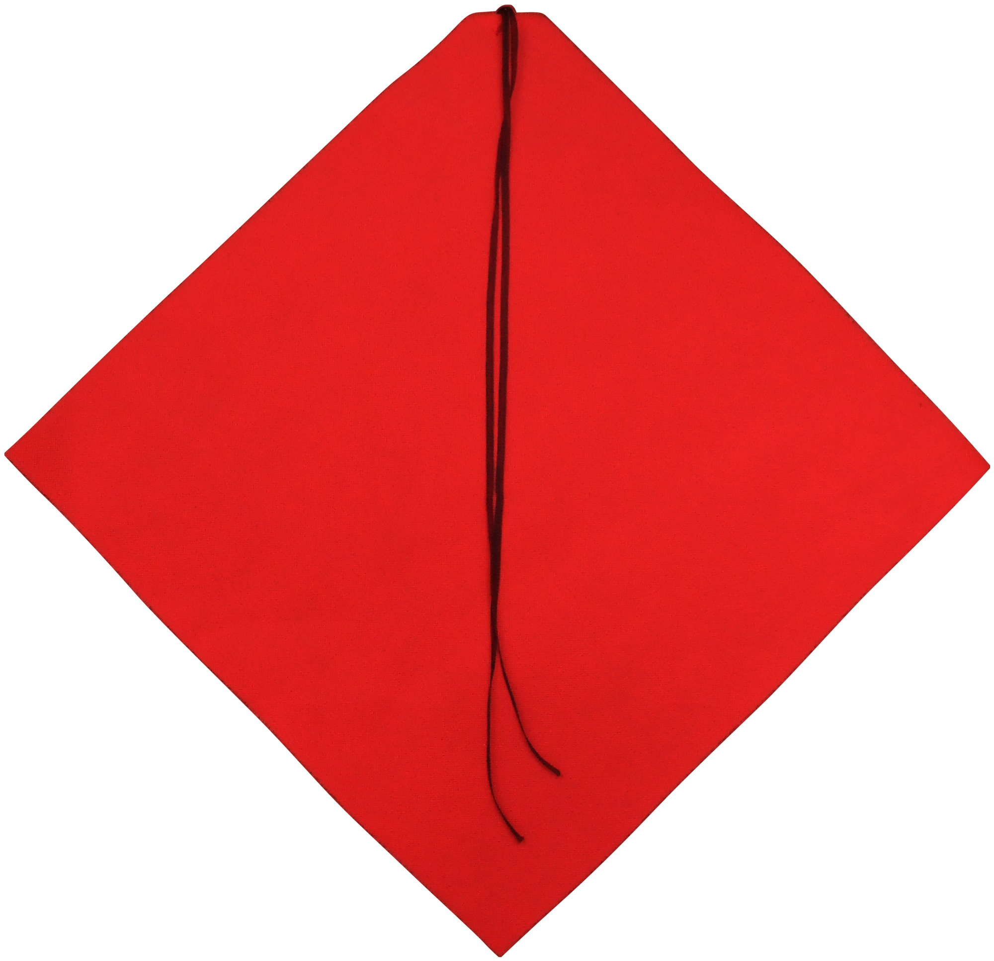 Light-Weight Nonwoven Flag 2