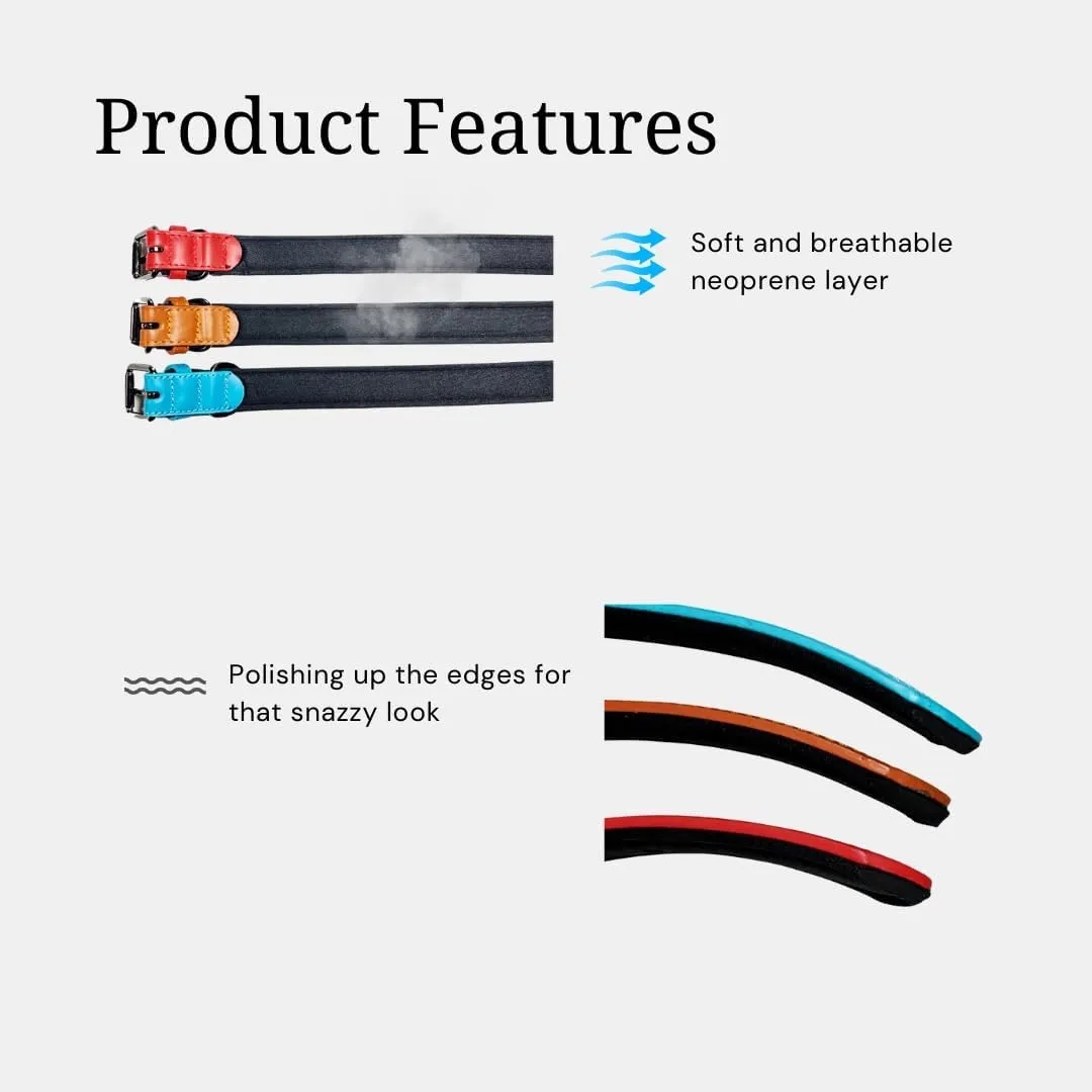 Microfiber Leather Pet Collar 5