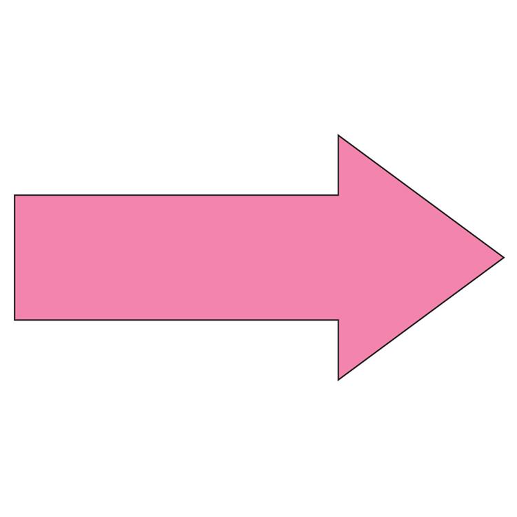 Die-Cut 50.1 to 60 Sq In Custom Shape Car Magnet 2