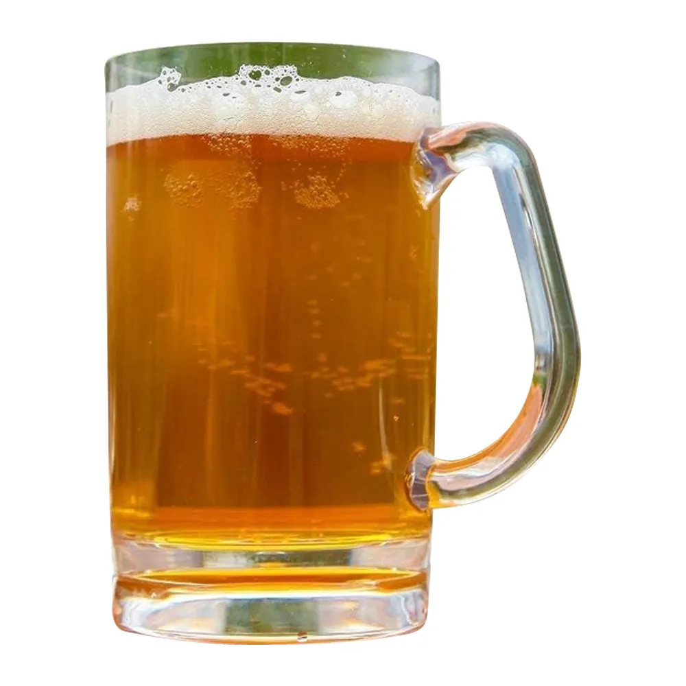 16oz. Acrylic Classic Beer Mug 2
