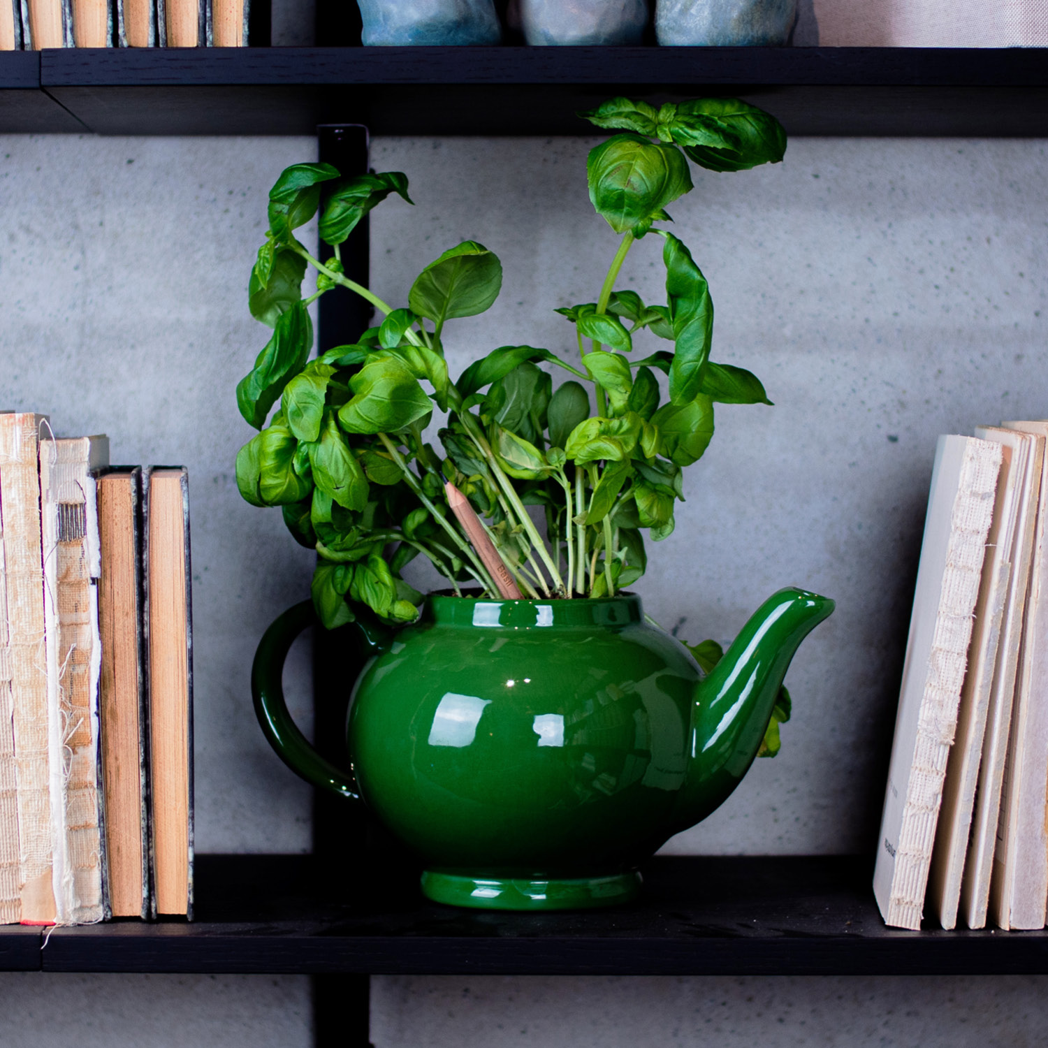 SproutWorld™ Pencil 78