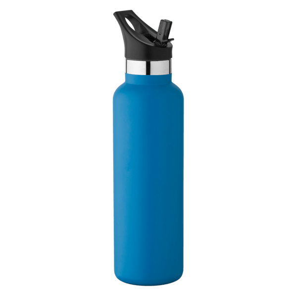 20 oz Basecamp Mesa Tundra Bottle with Screw Top and Flip-Top Straw Lid 230