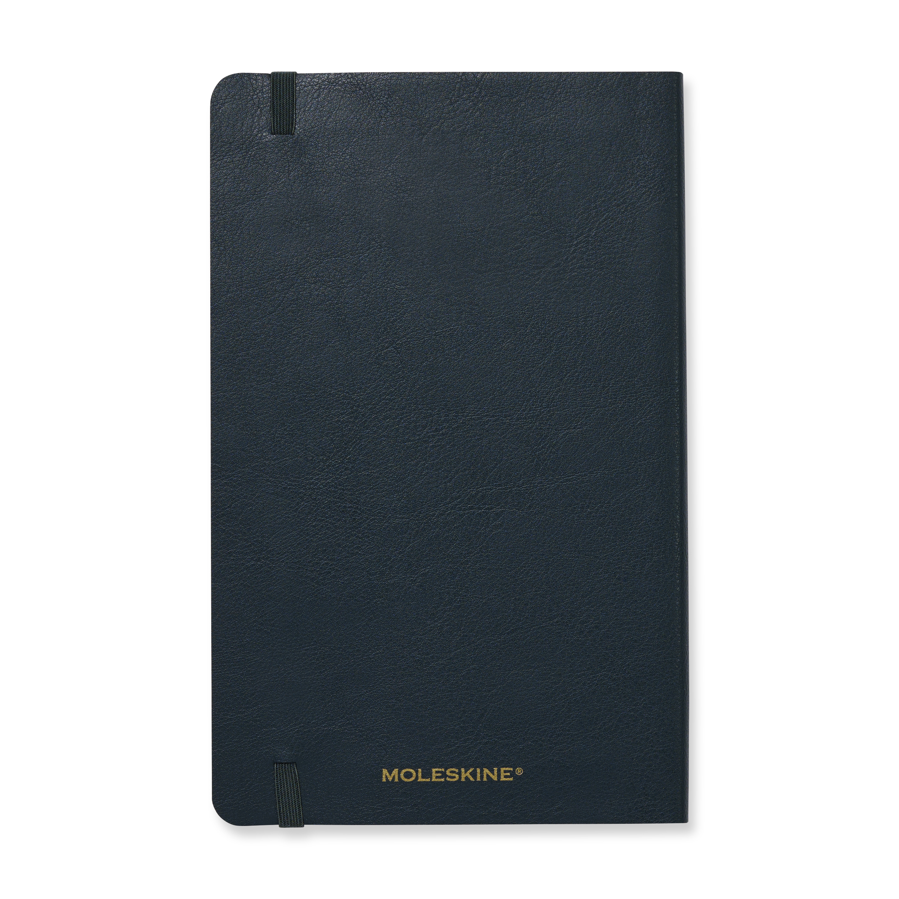 Moleskine® Precious & Ethical Vegan Soft Cover Ruled Large Notebook 12
