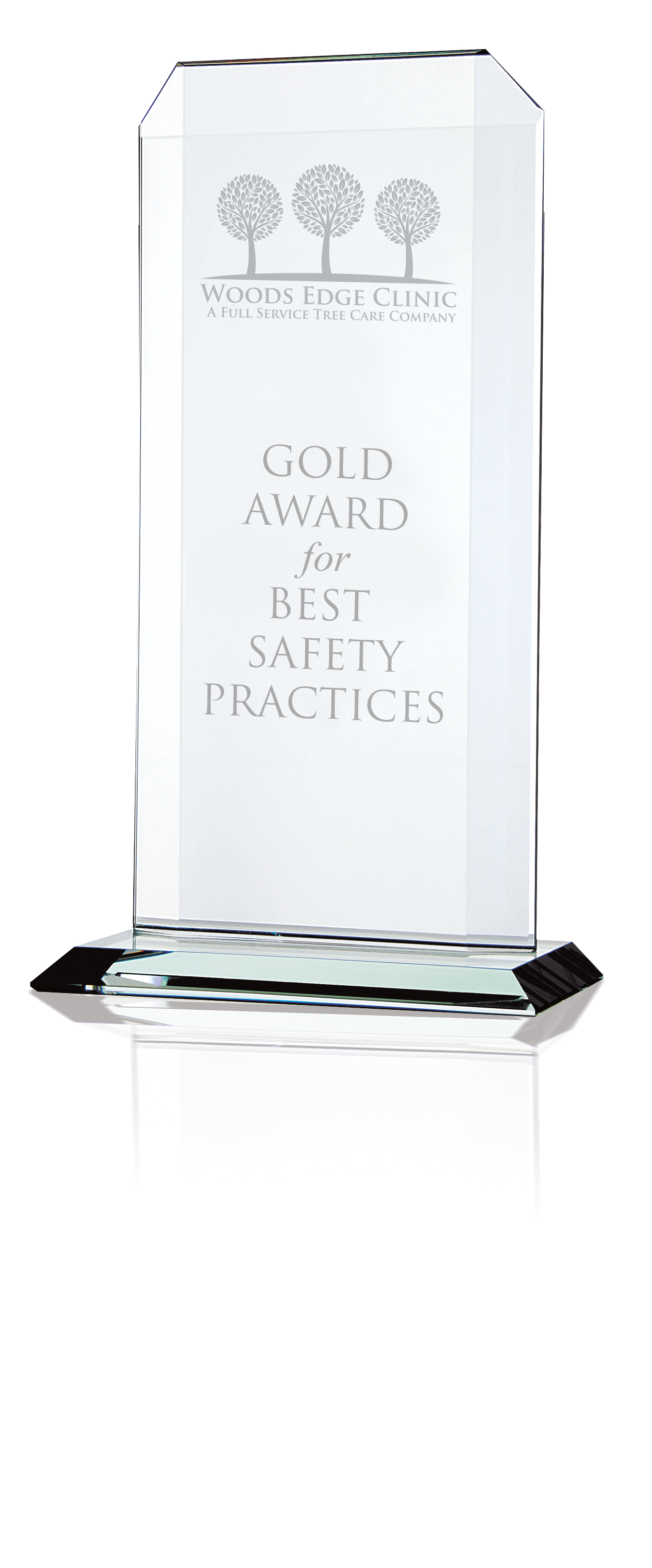 JAFFA® Starfire Echo Award - Large 2