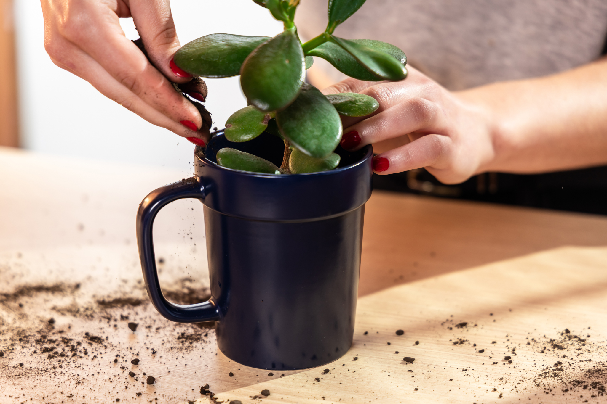 16 oz Planter Mug 29