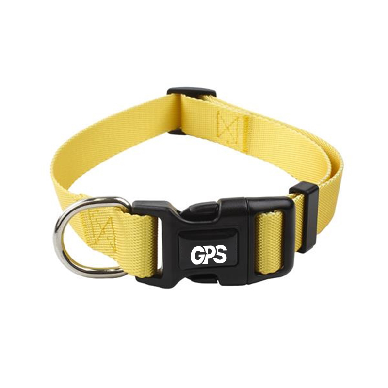 3/4 " Width Gradient Nylon Pet Collar with Traction Rope 5