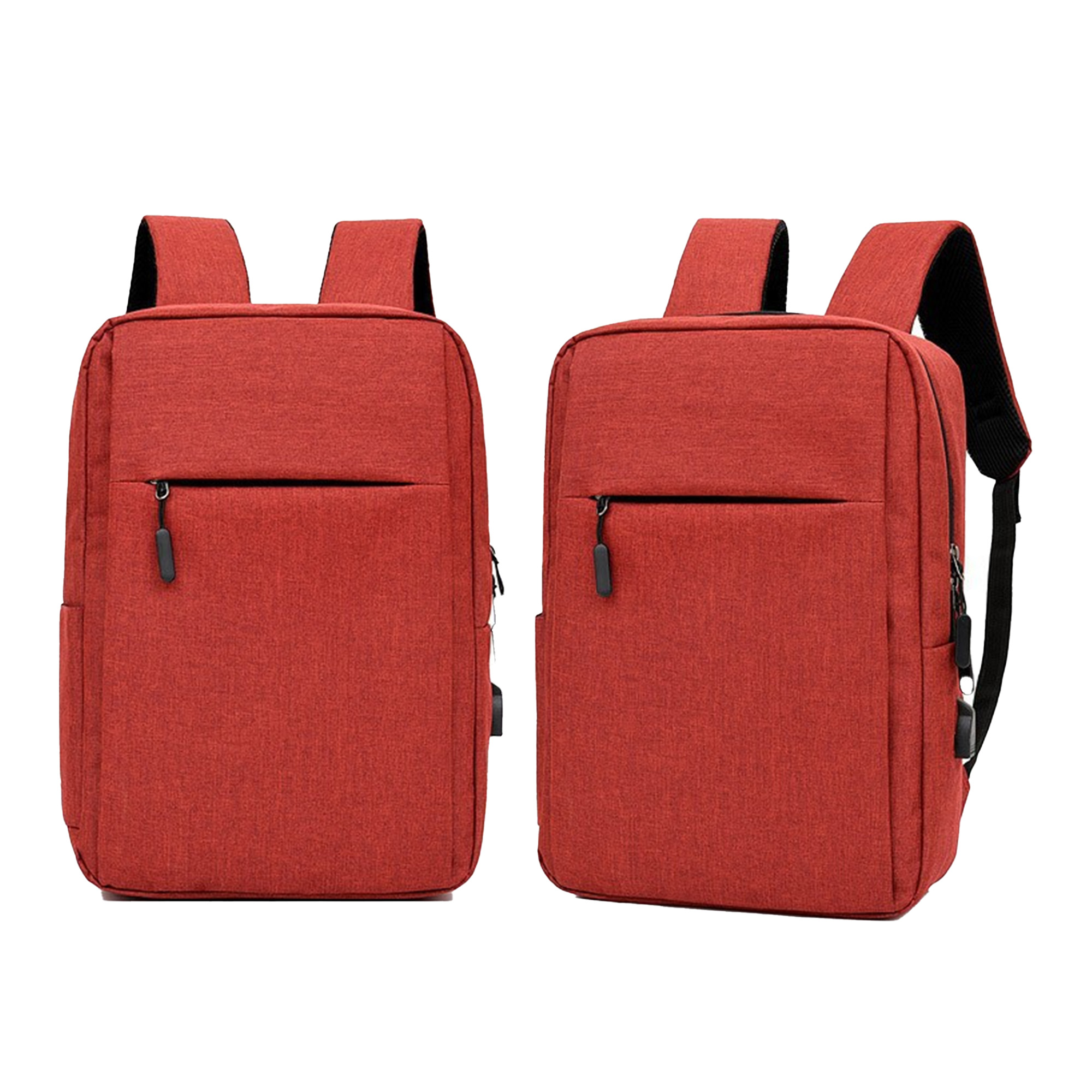Computer Backpack 1