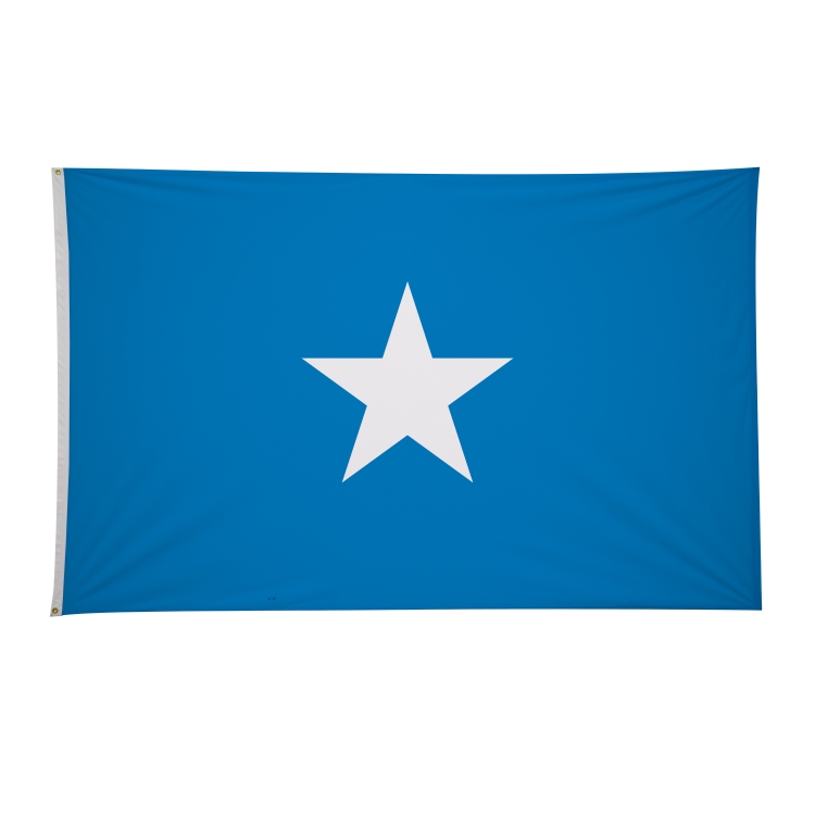 5' x 8' International Flags 270