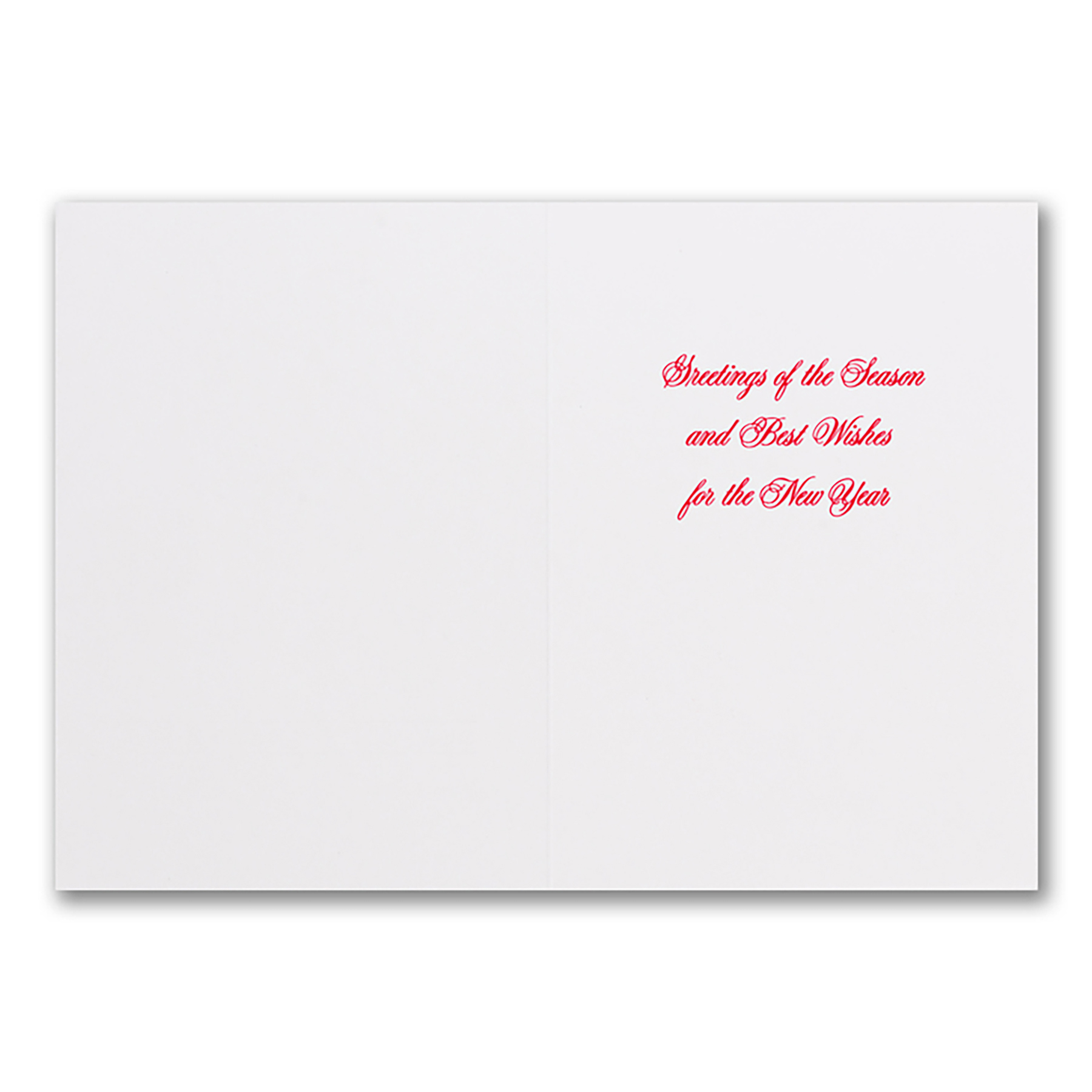 Snowy Lane Holiday Card 4