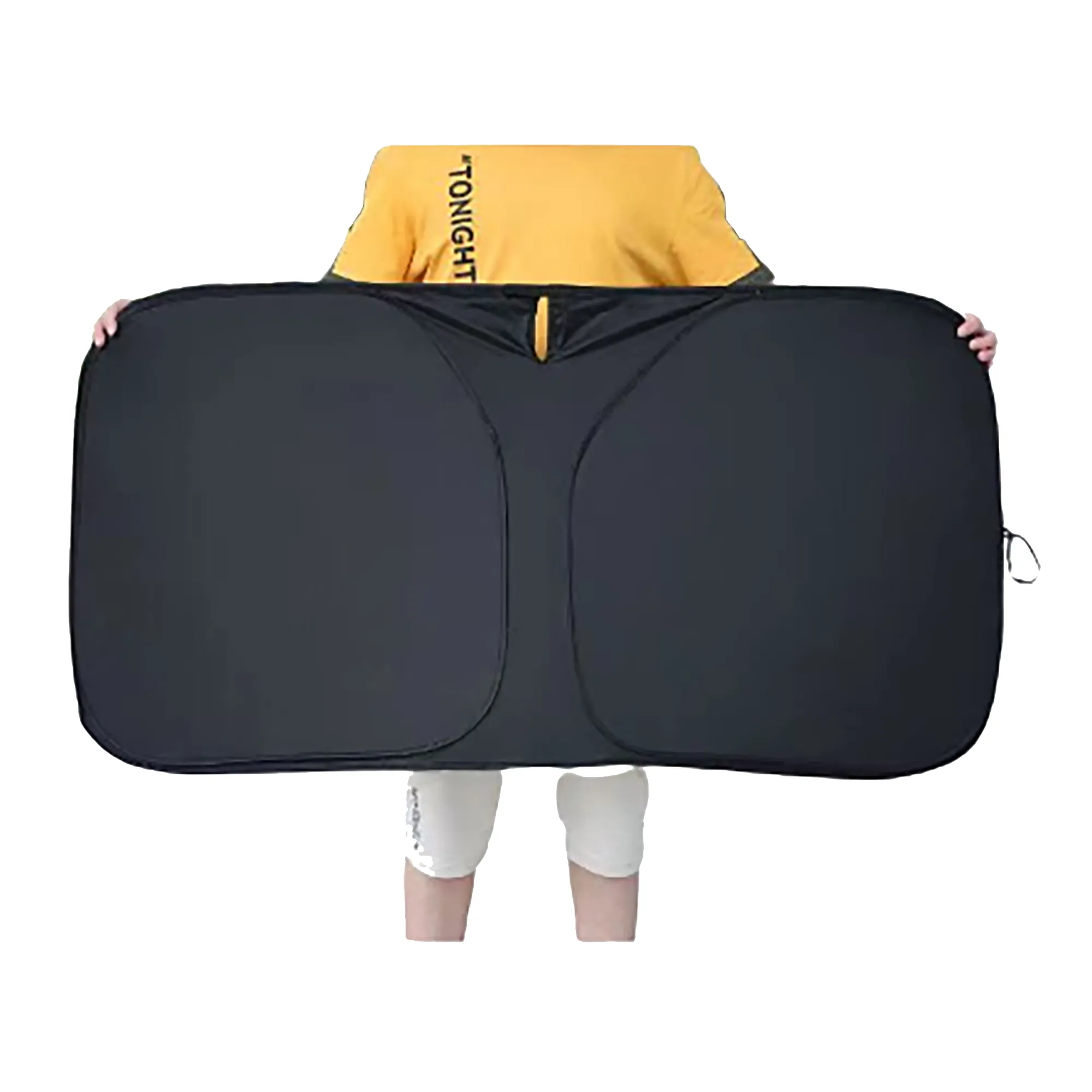 Car Sunshade 3