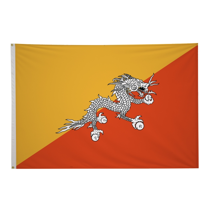 4' x 6' International Flags 302