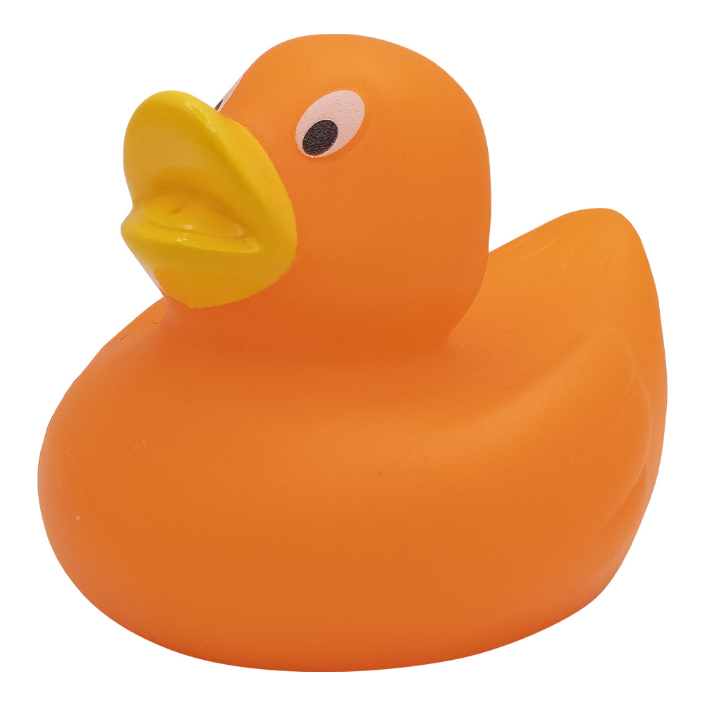 Lil' Rubber Duck 24