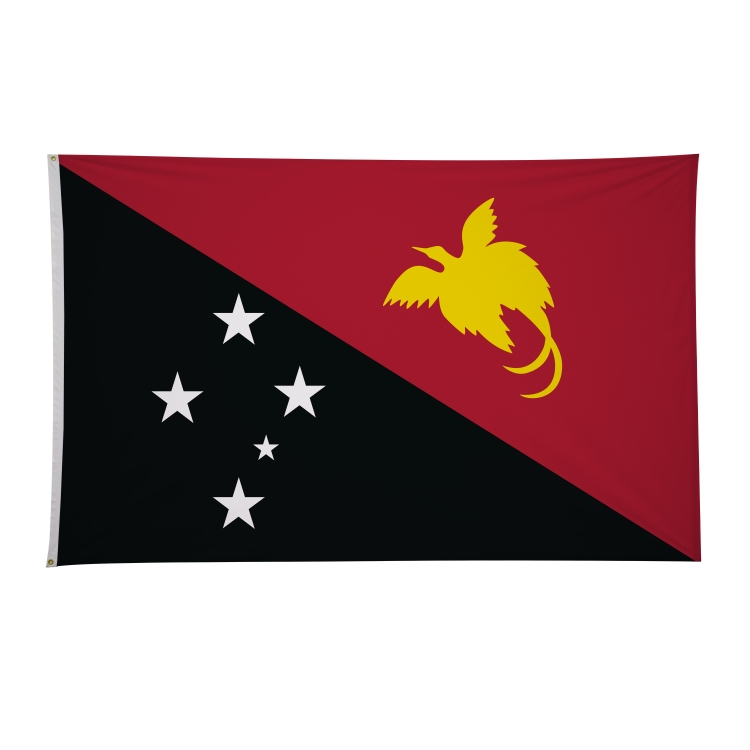 5' x 8' International Flags 12