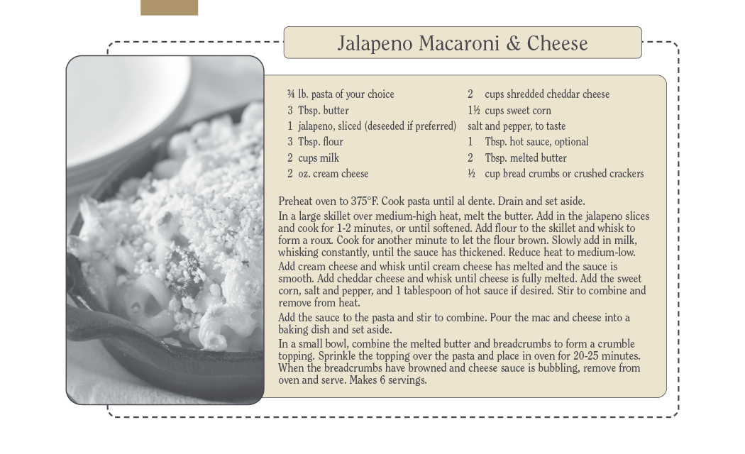 Triumph® Calendars Recipe Pocket Calendar 19