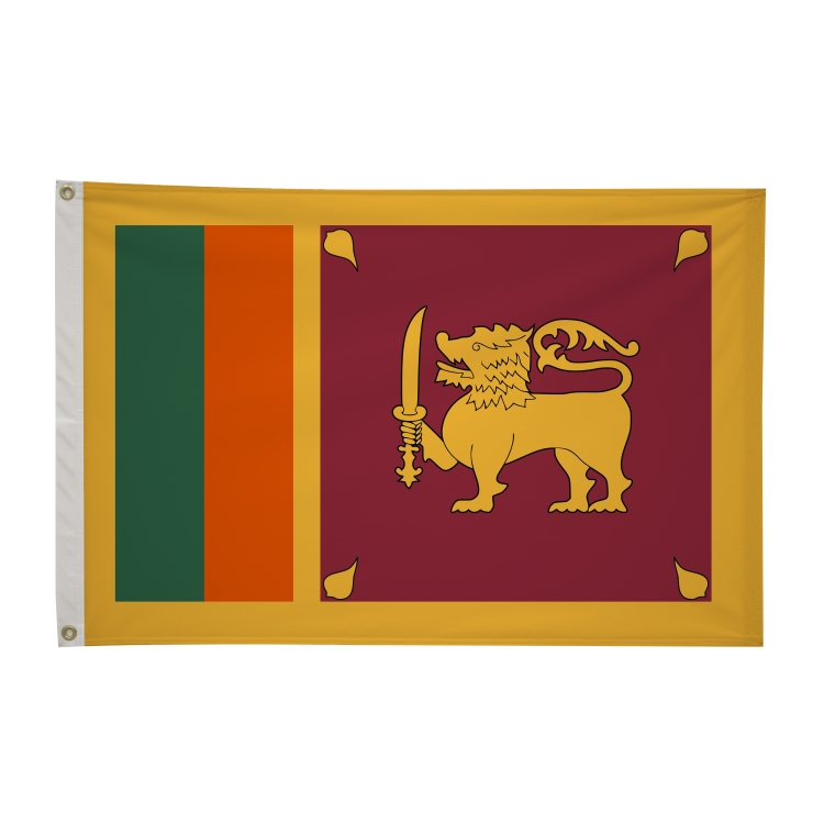 2' x 3'International Flag 39