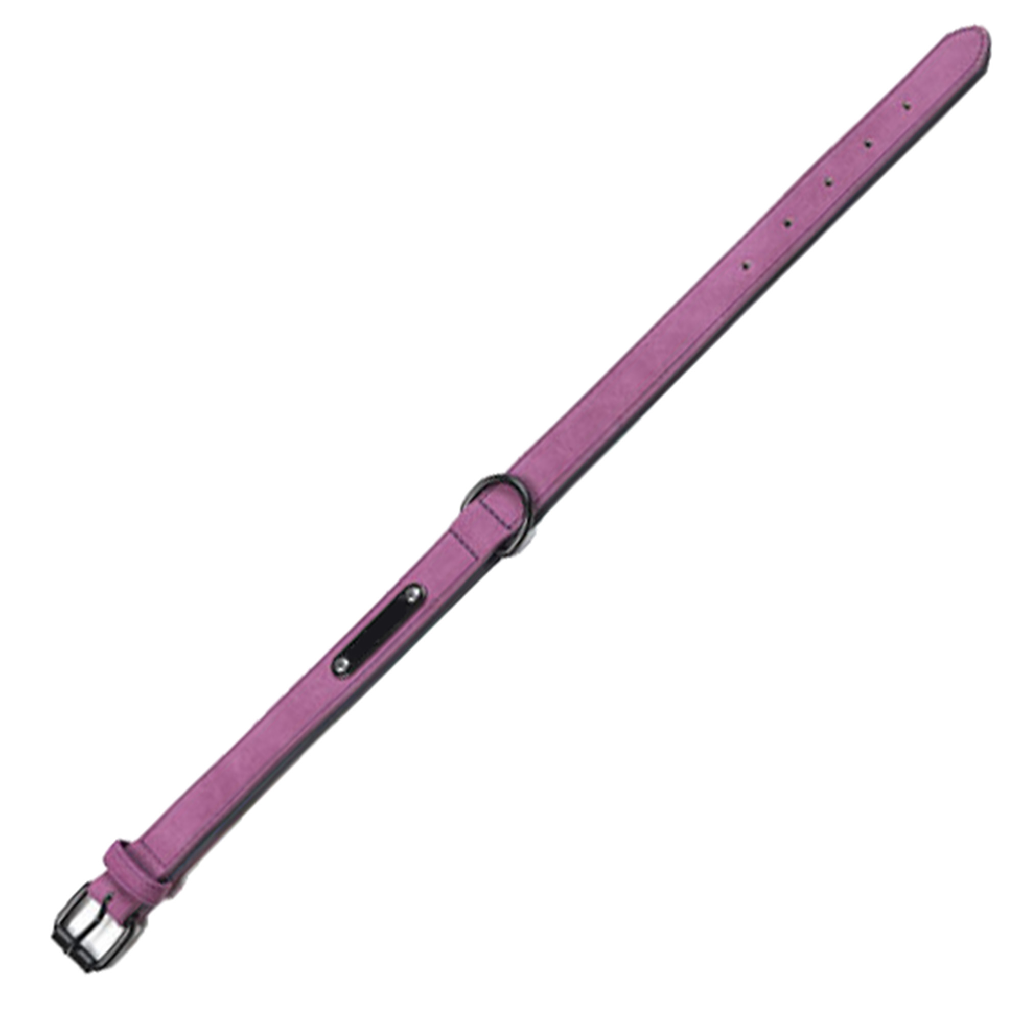 MOQ100 Pet Collar 8