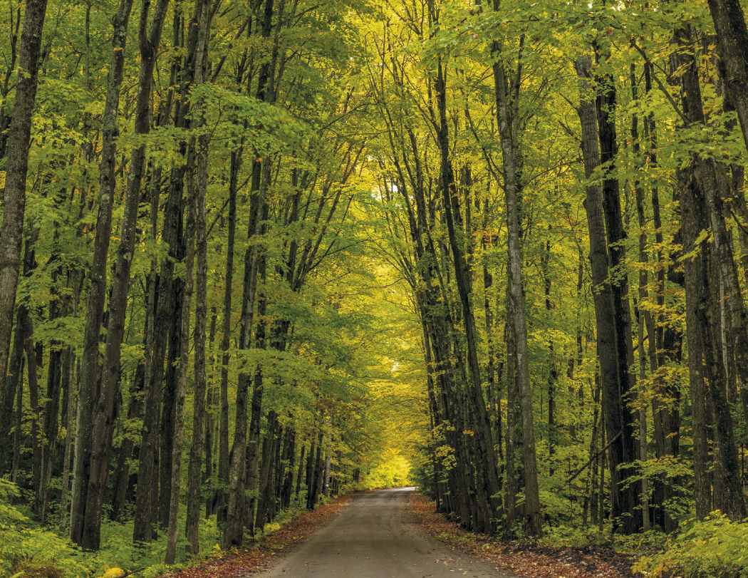 HotLine® Products Catholic Reflections Appointment Calendar - Stapled 26