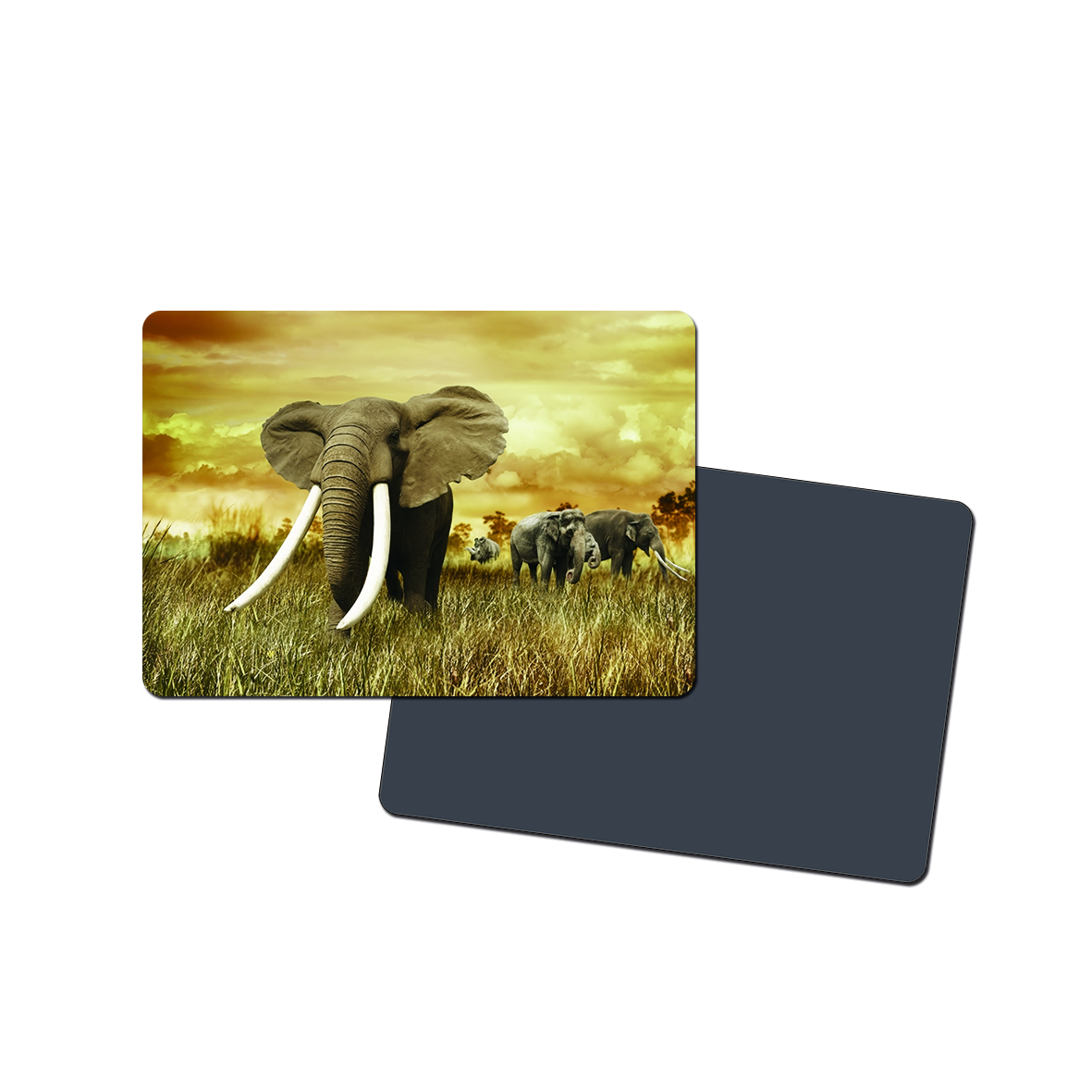 Business Card Magnet 1