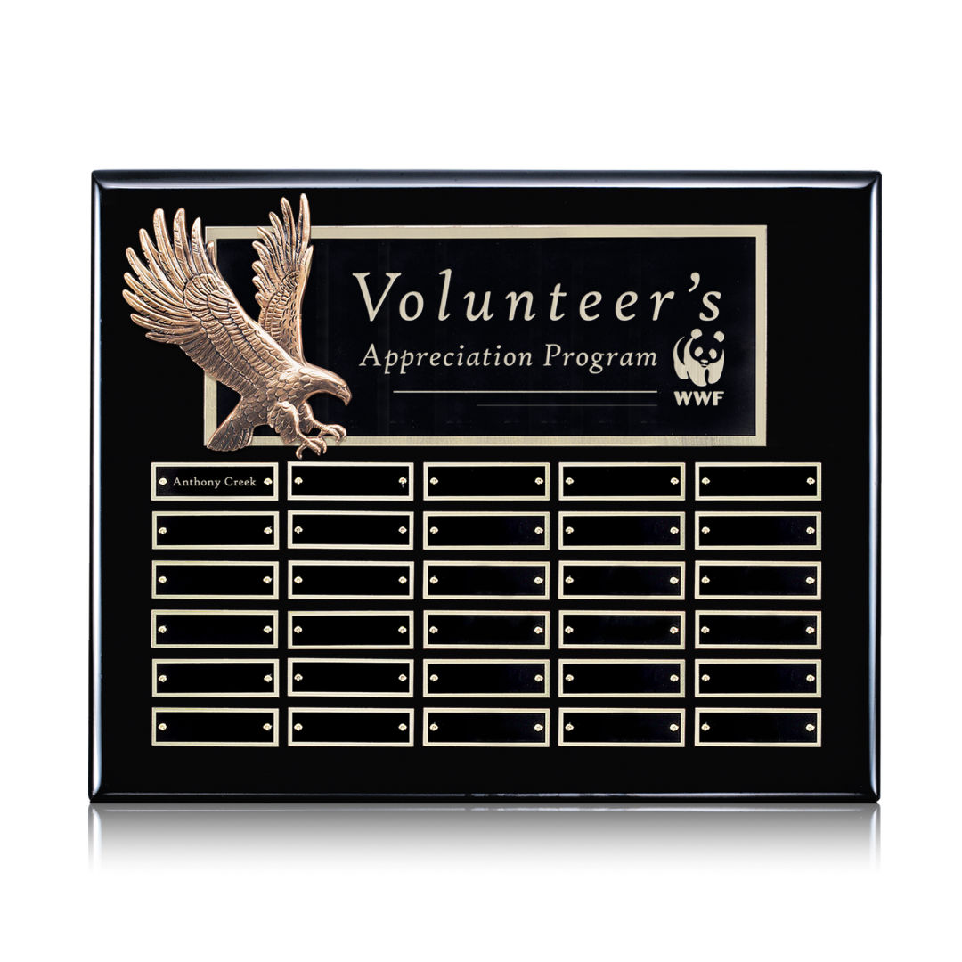 Flying Eagle Perpetual - Ebony 1