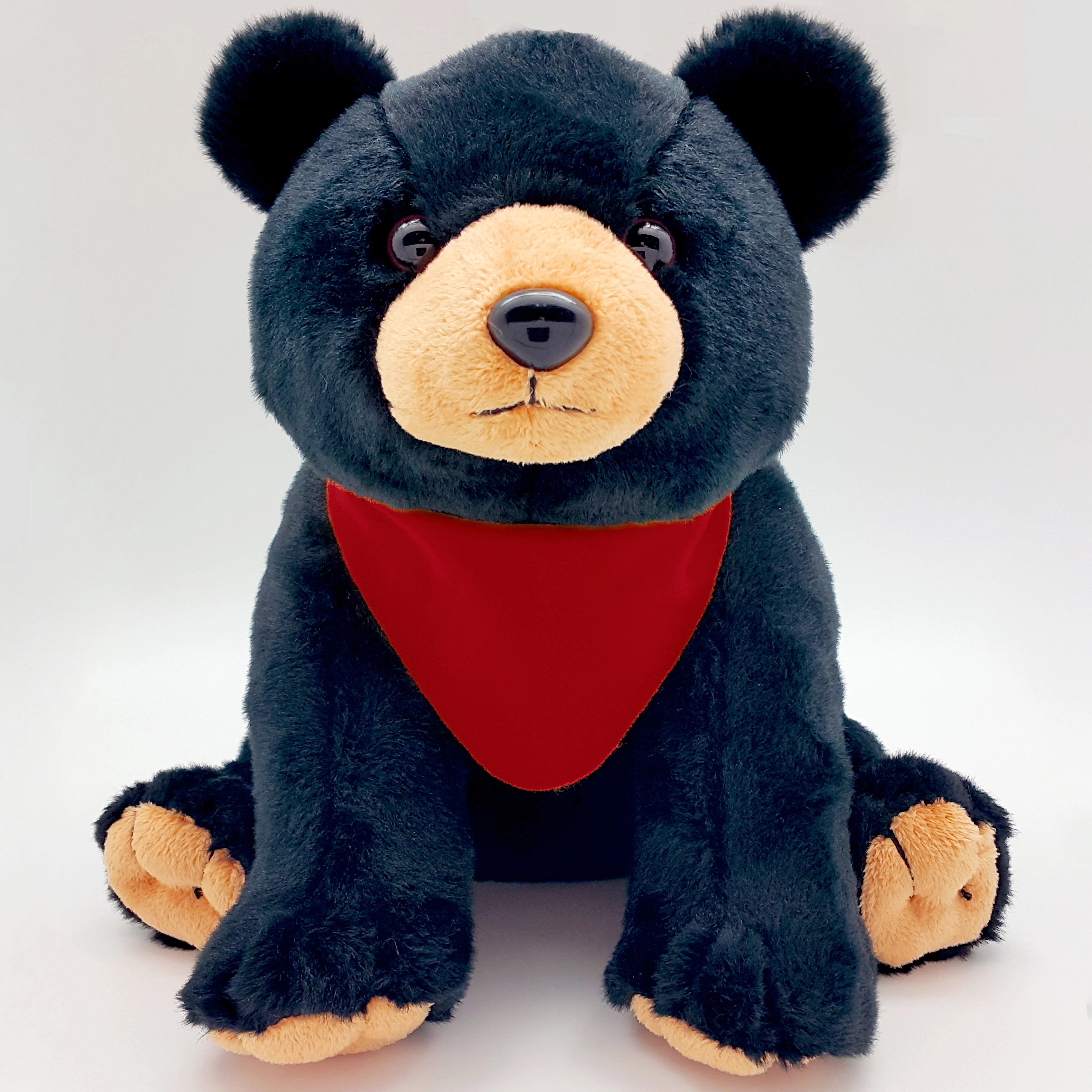 10" Black Bear 6
