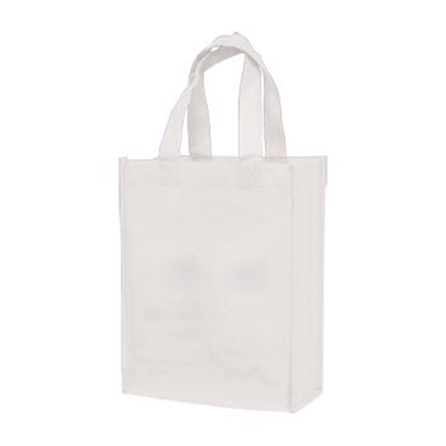 Small Laminated Tote Bag 4