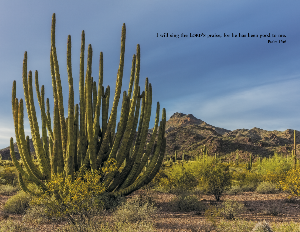 Triumph® Calendars World of Inspiration Calendar 21