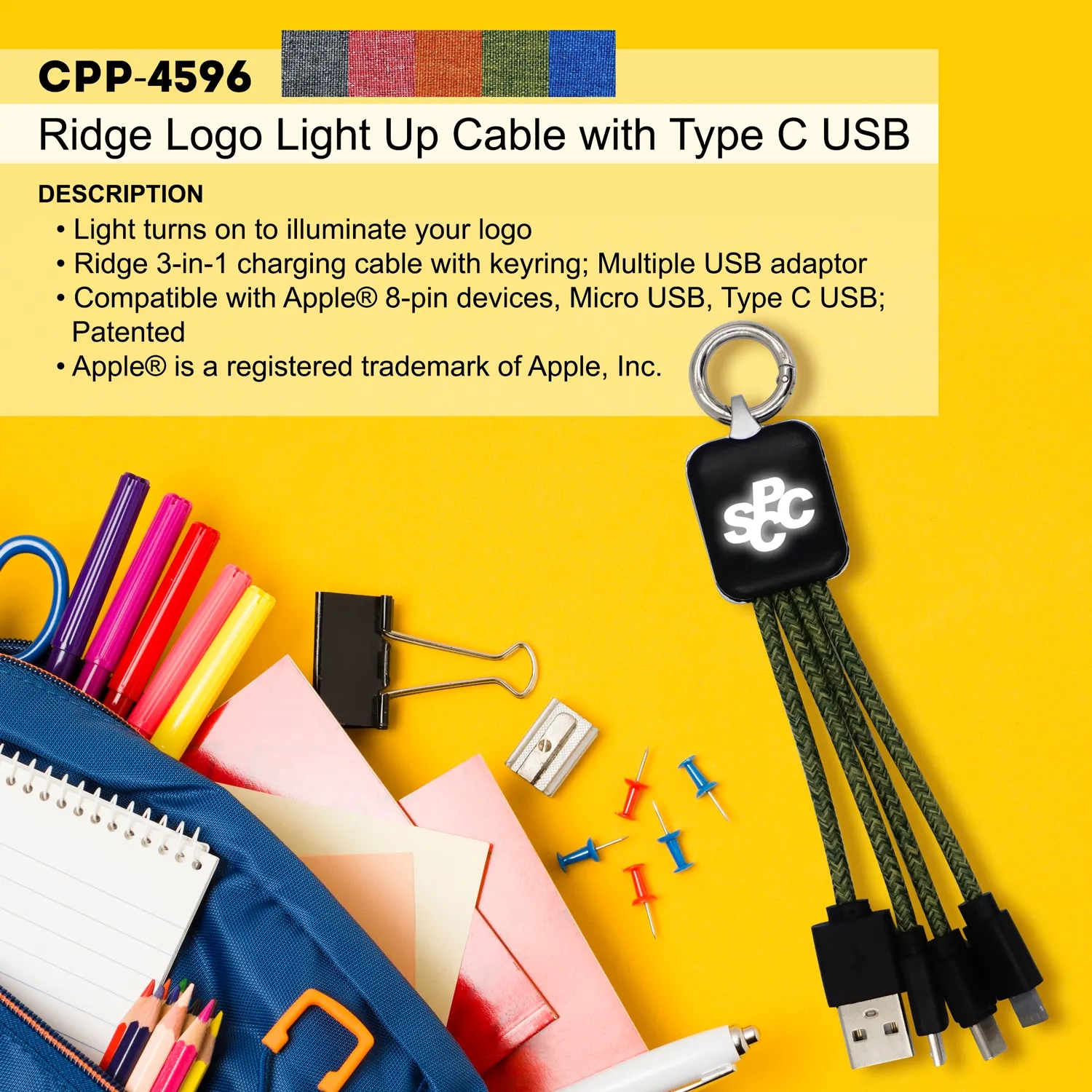 Ridge Logo Light Up Cable with Type C USB 13