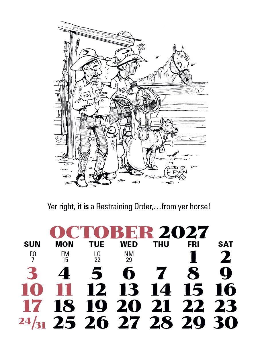 Triumph® Calendars Press-N-Stick Cowboy Calendar 635