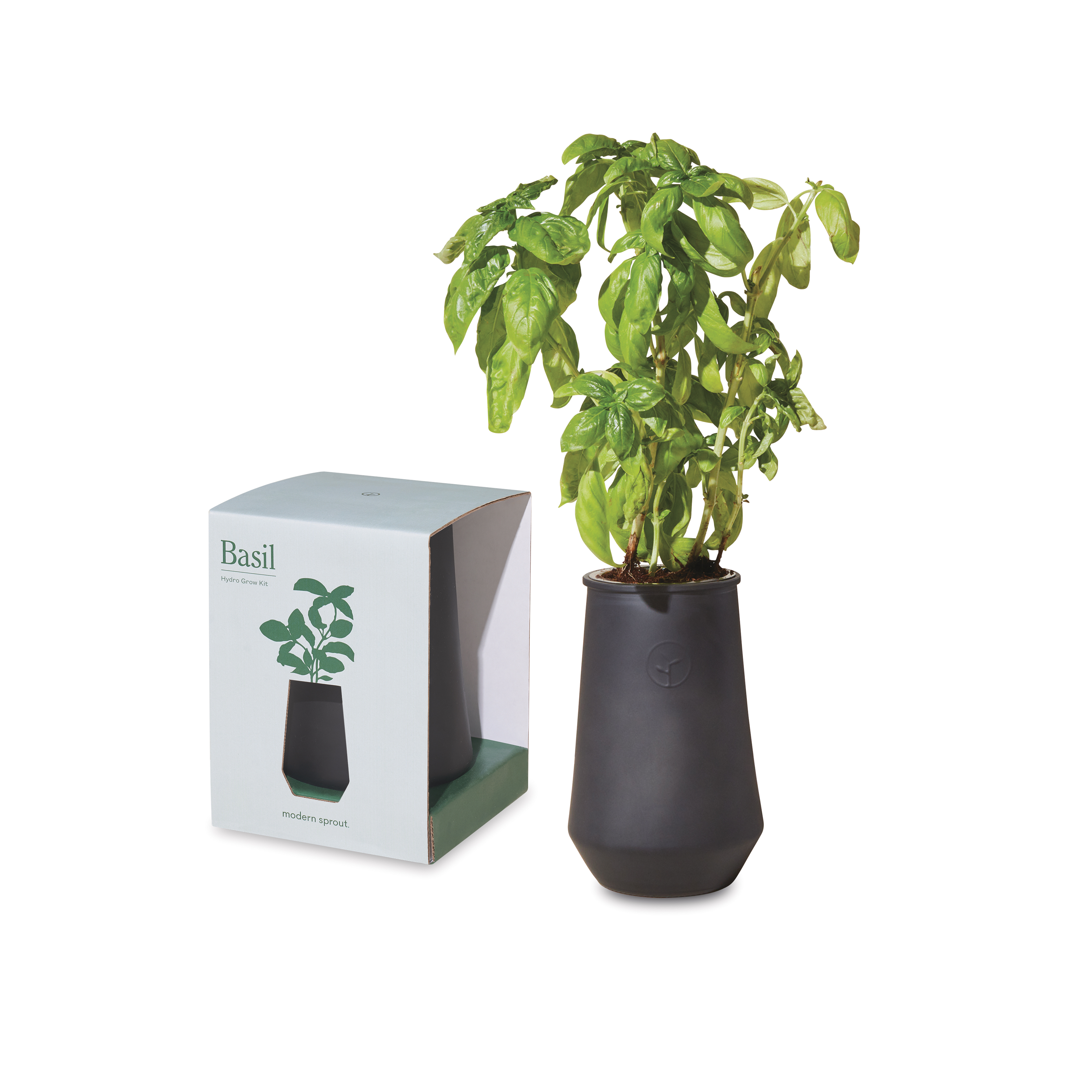Modern Sprout® Tapered Tumbler Grow Kit 6
